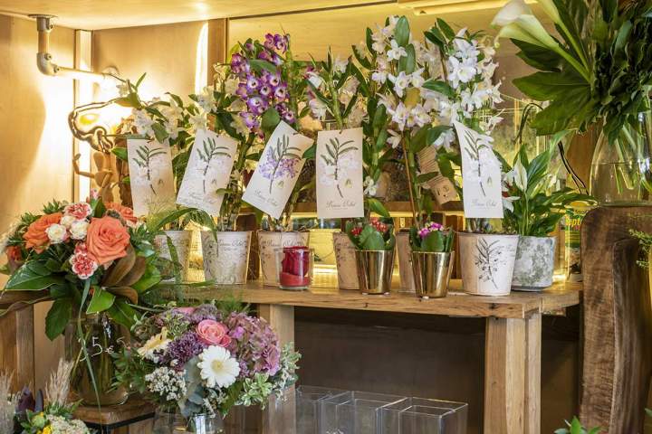 Vente de plantes d'intérieur Paris